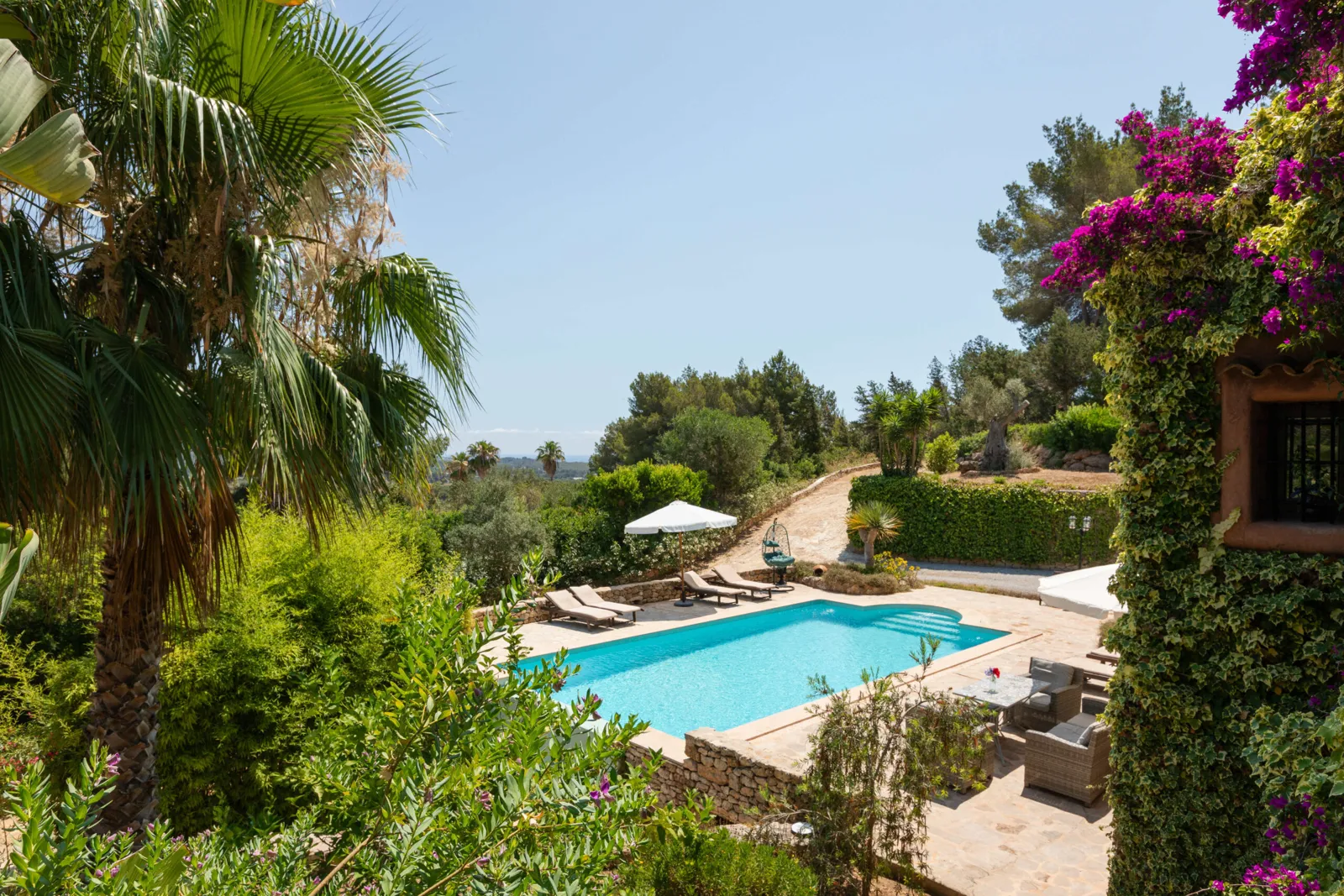 Piscina tra palme e bouganville
